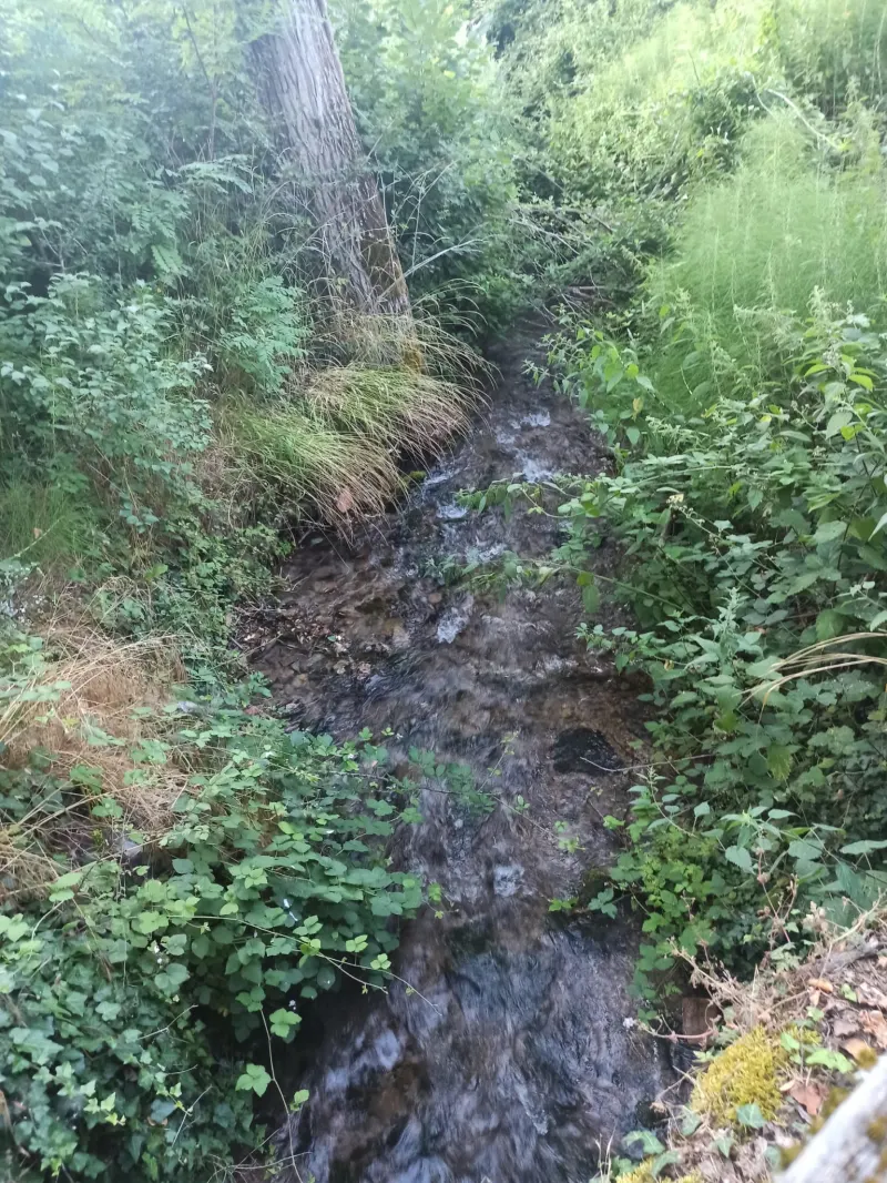Abitazione indipendente a 2 Km. dalle piste da sci, mq. 135 ca. + mq. 100 di annesso con 30.000 mq.. di terreno. · foto 4