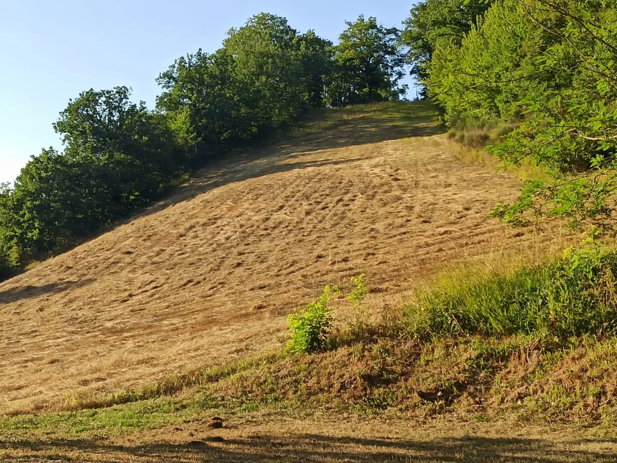 Abitazione indipendente a 2 Km. dalle piste da sci, mq. 135 ca. + mq. 100 di  annesso con 30.000 mq.. di terreno. · foto 33