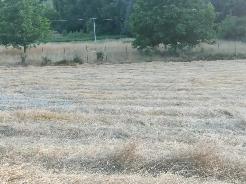 Abitazione indipendente a 2 Km. dalle piste da sci, mq. 135 ca. + mq. 100 di annesso con 30.000 mq.. di terreno. · foto 5