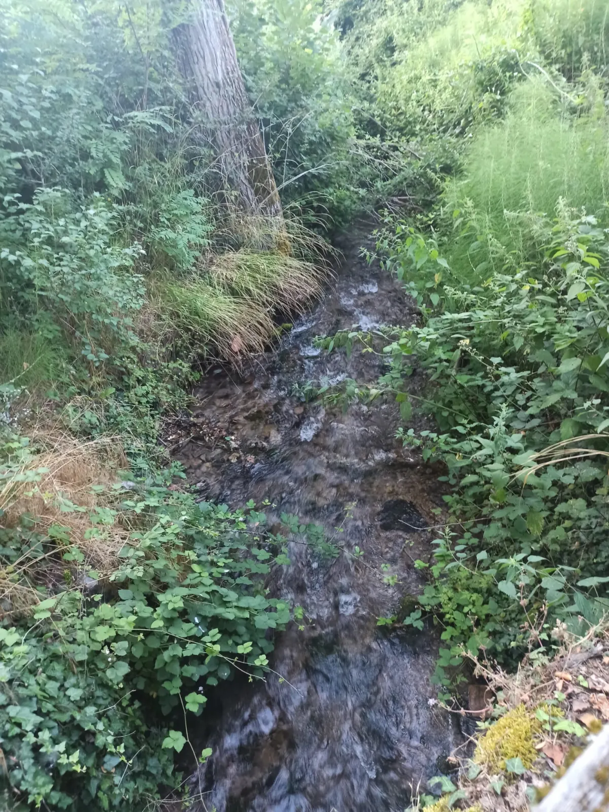 Abitazione indipendente a 2 Km. dalle piste da sci, mq. 135 ca. + mq. 100 di  annesso con 30.000 mq.. di terreno. · foto 6