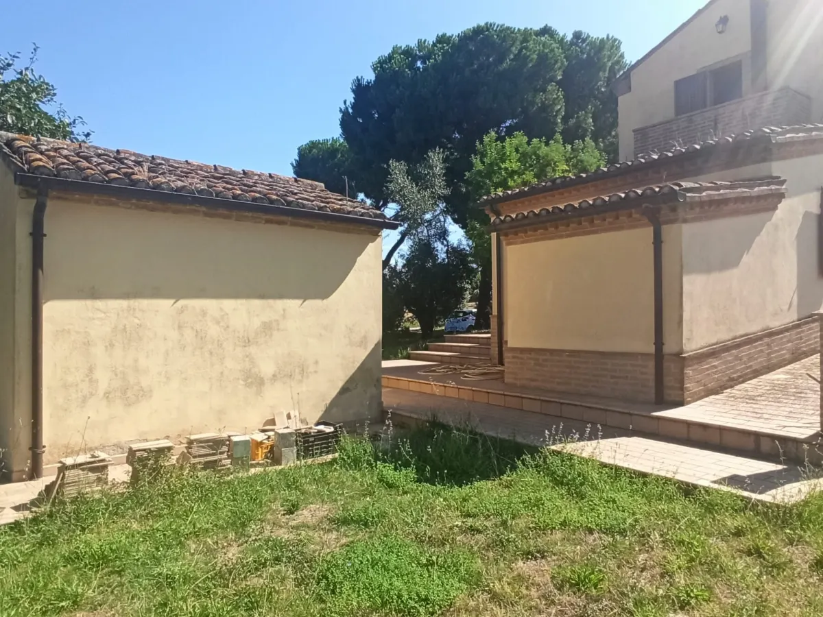 Casale marchigiano ristrutturato, immerso nel verde con terreno di mq. 21.600 piantumato ad ulivi e alberi da frutto e ampio annesso da trasformare in civile abitazione · foto 12