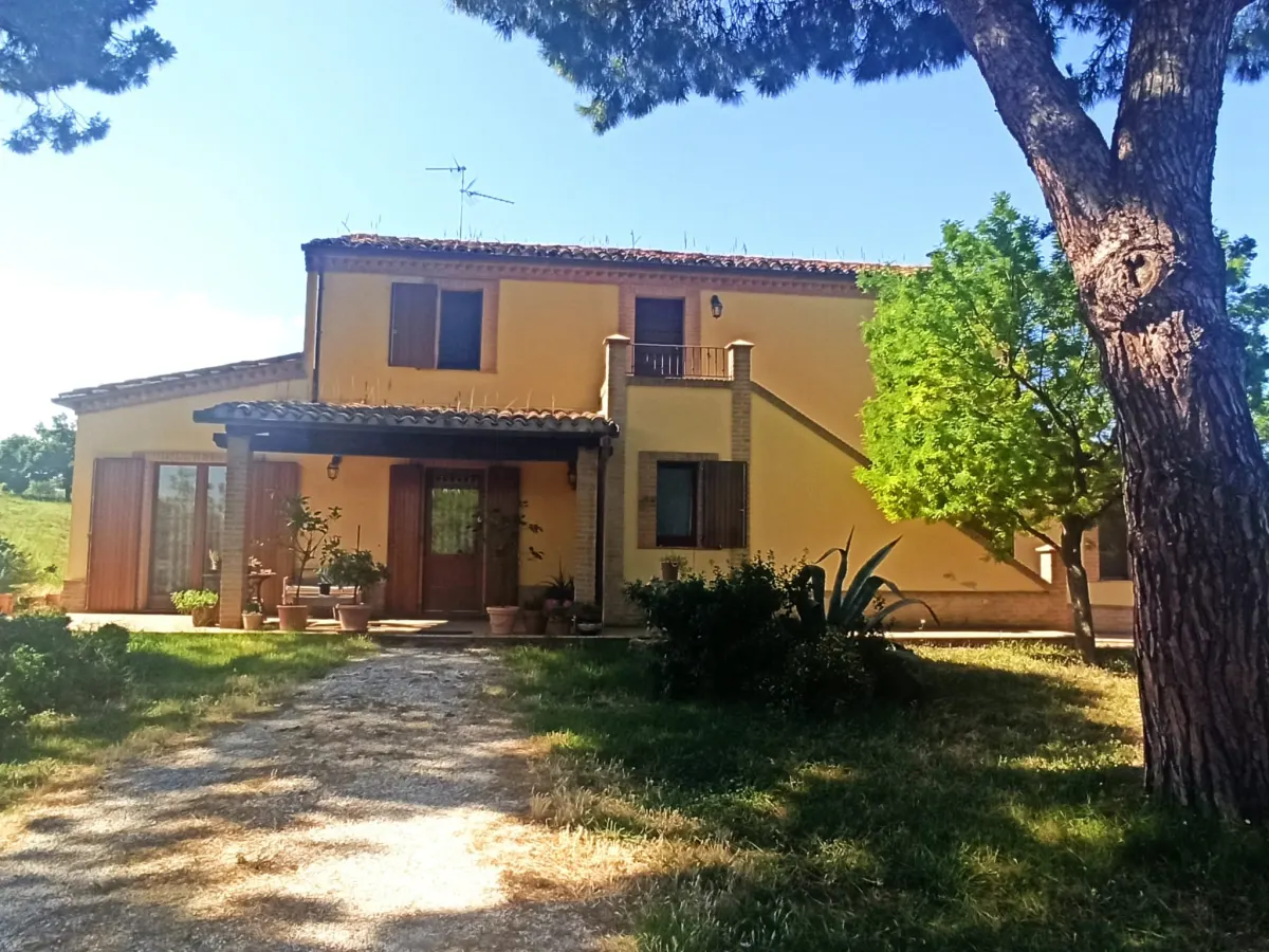 Casale marchigiano ristrutturato, immerso nel verde con terreno di mq. 21.600 piantumato ad ulivi e alberi da frutto e ampio annesso da trasformare in civile abitazione · foto 14