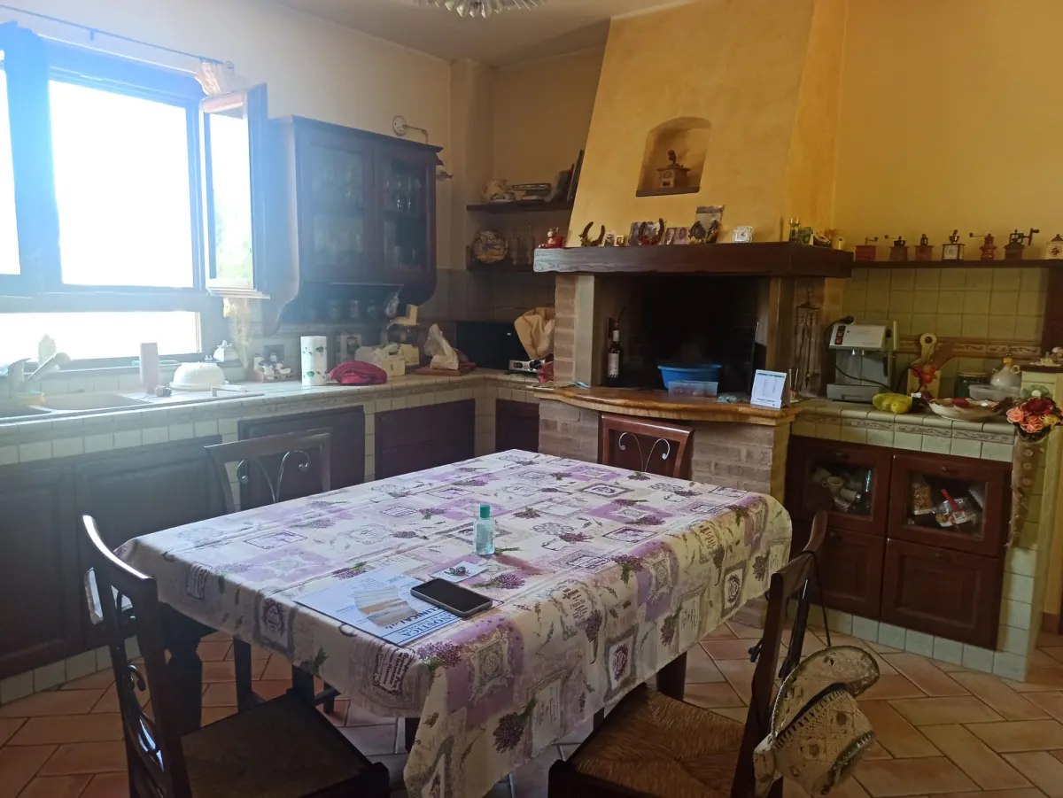 Casale marchigiano ristrutturato, immerso nel verde con terreno di mq. 21.600 piantumato ad ulivi e alberi da frutto e ampio annesso da trasformare in civile abitazione · foto 19