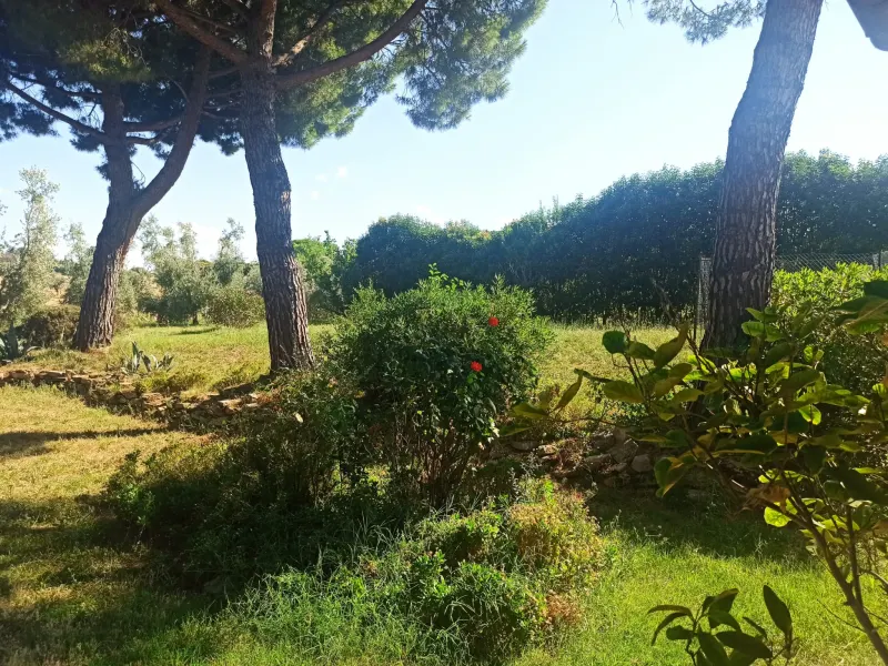 Casale marchigiano ristrutturato, immerso nel verde con terreno di mq. 21.600 piantumato ad ulivi e alberi da frutto e ampio annesso da trasformare in civile abitazione · foto 3