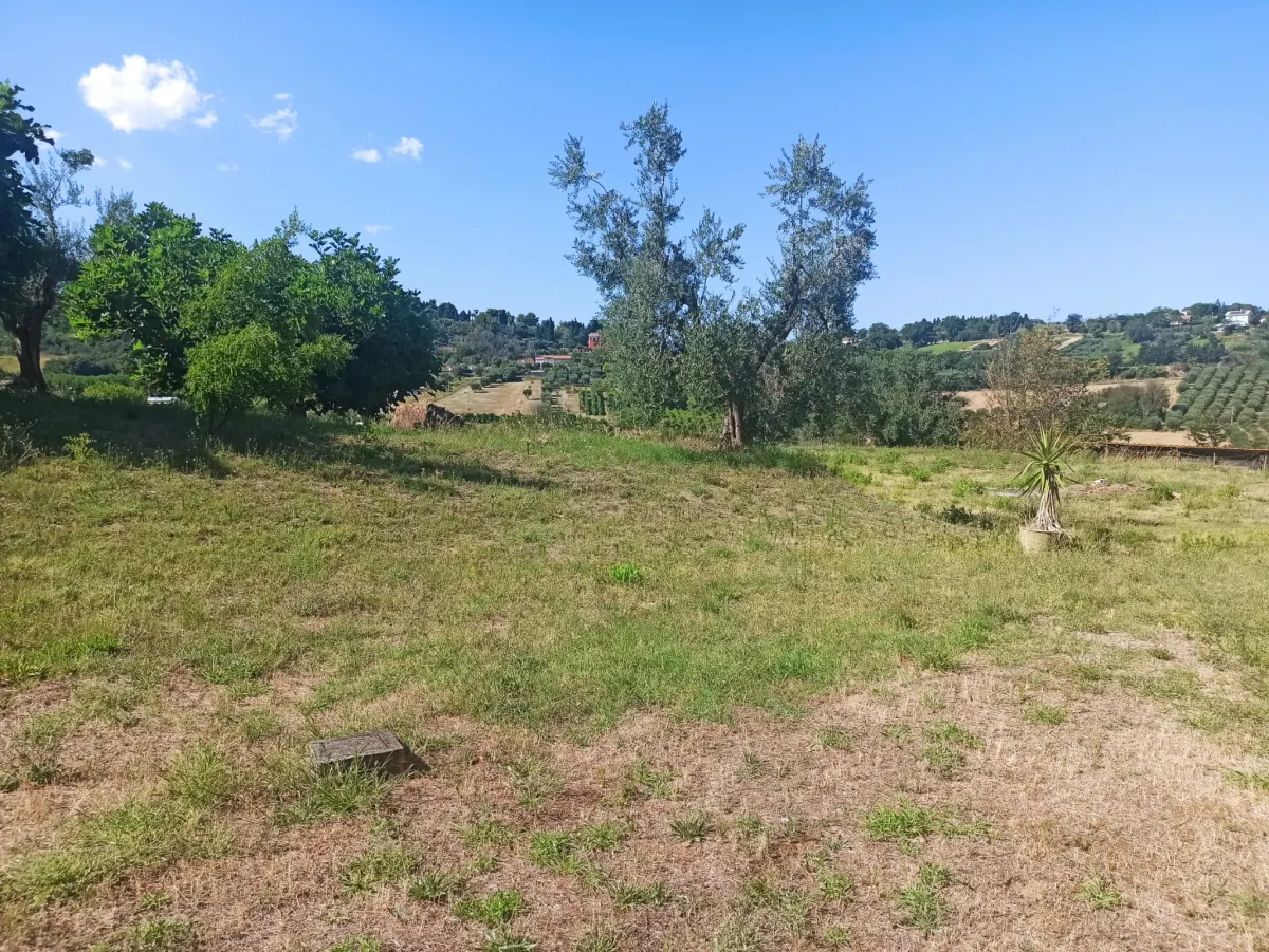 Casale marchigiano ristrutturato, immerso nel verde con terreno di mq. 21.600 piantumato ad ulivi e alberi da frutto e ampio annesso da trasformare in civile abitazione · foto 6