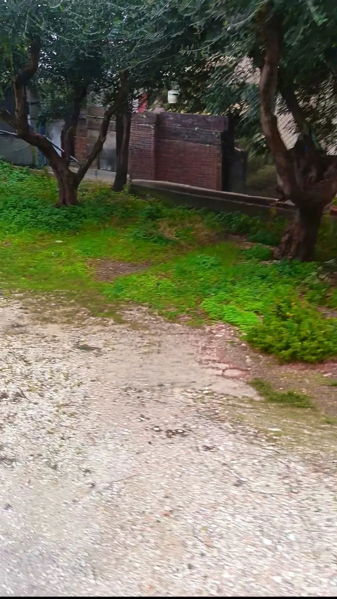 Casa semi-indipendente di 100mq Cielo Terra, su più livelli con 250 mq Corte/Giardino, P. Auto. Garage circa 25 mq Recintata. · foto 11
