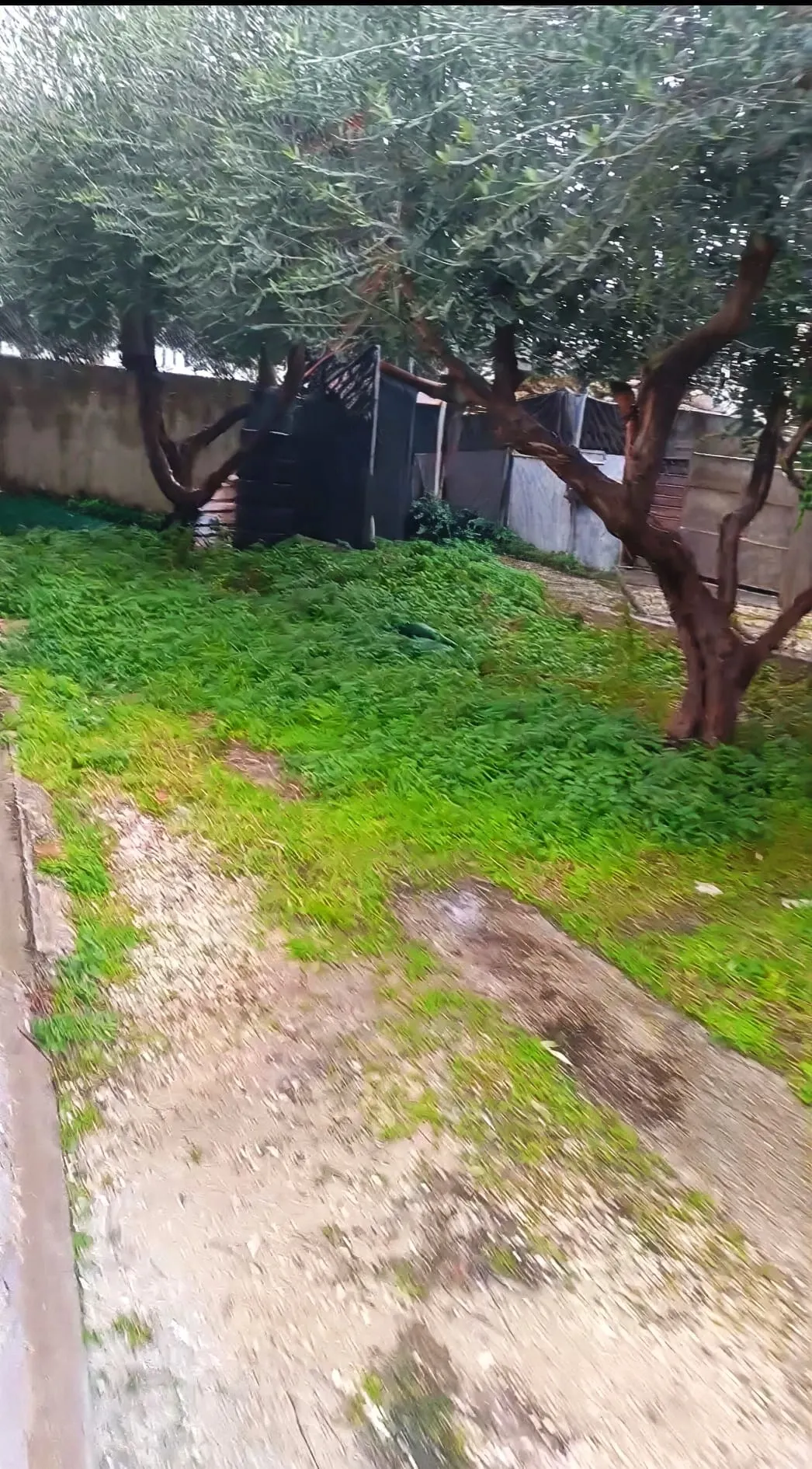 Casa semi-indipendente di 100mq Cielo Terra, su più livelli con 250 mq Corte/Giardino, P. Auto. Garage circa 25 mq Recintata. · foto 12