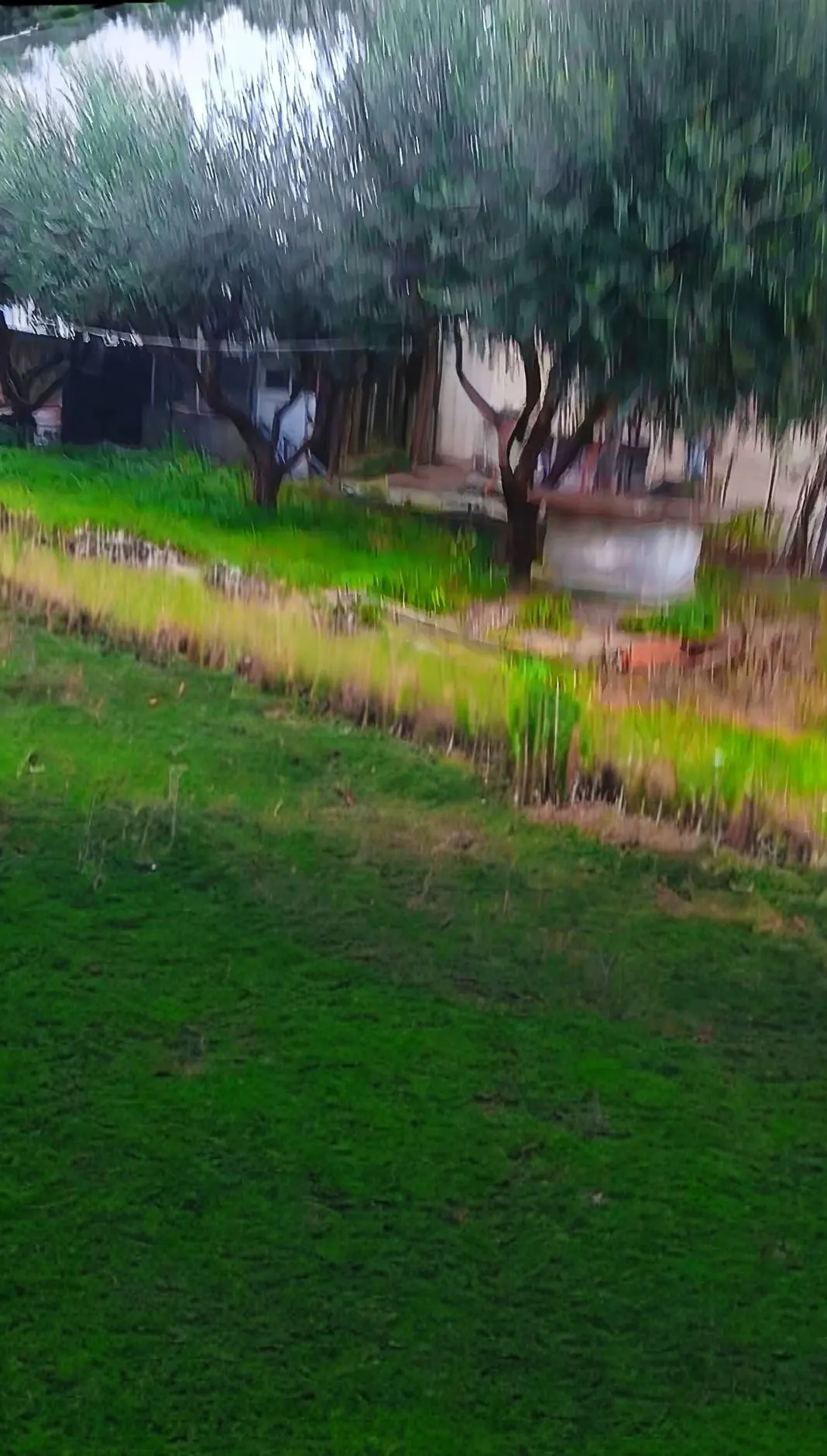 Casa semi-indipendente di 100mq Cielo Terra, su più livelli con 250 mq Corte/Giardino, P. Auto. Garage circa 25 mq Recintata. · foto 13