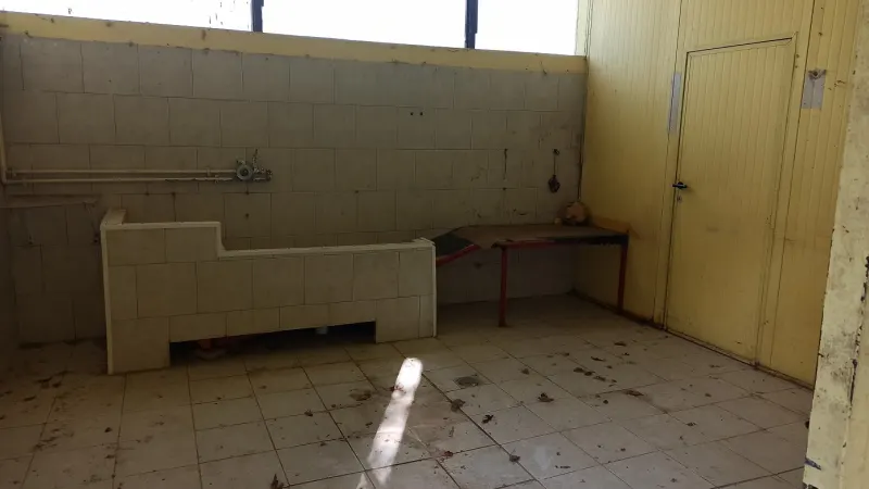 Capannone ad uso veterinario o per Canile · foto 5