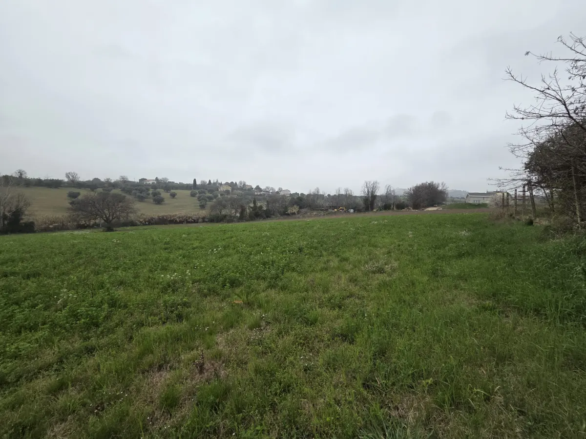 Casale da ultimare con terreno · foto 6