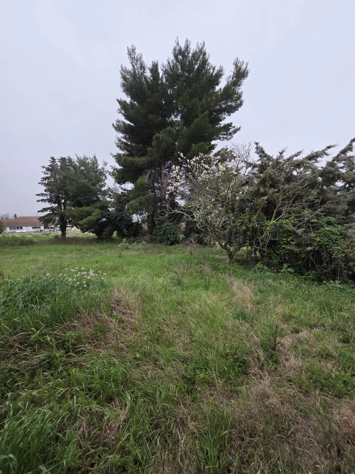 Casale da ultimare con terreno · foto 7
