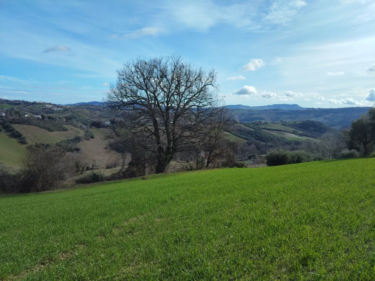 Casa Singola con  terreno agricolo · foto 11