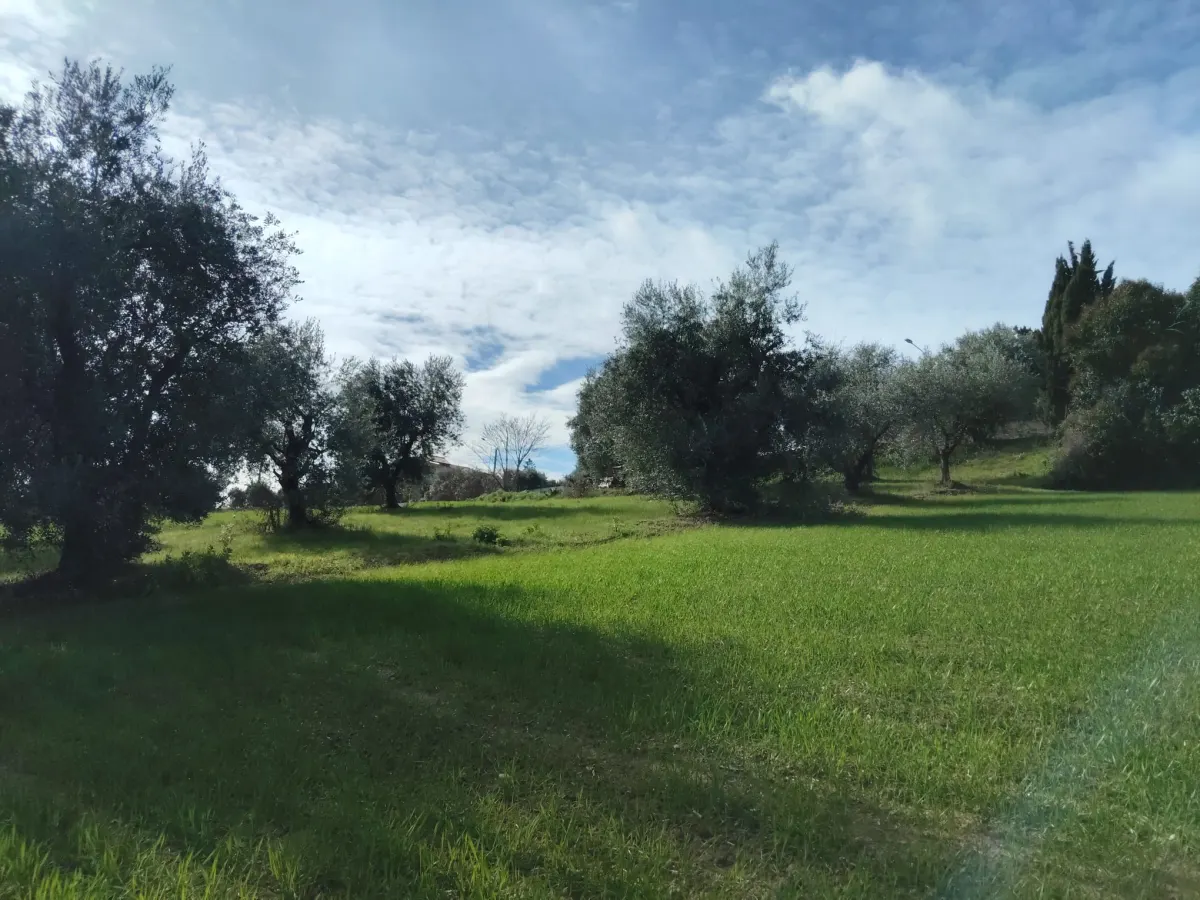 Casa Singola con  terreno agricolo · foto 12