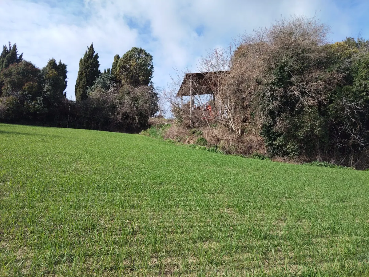 Casa Singola con  terreno agricolo · foto 13
