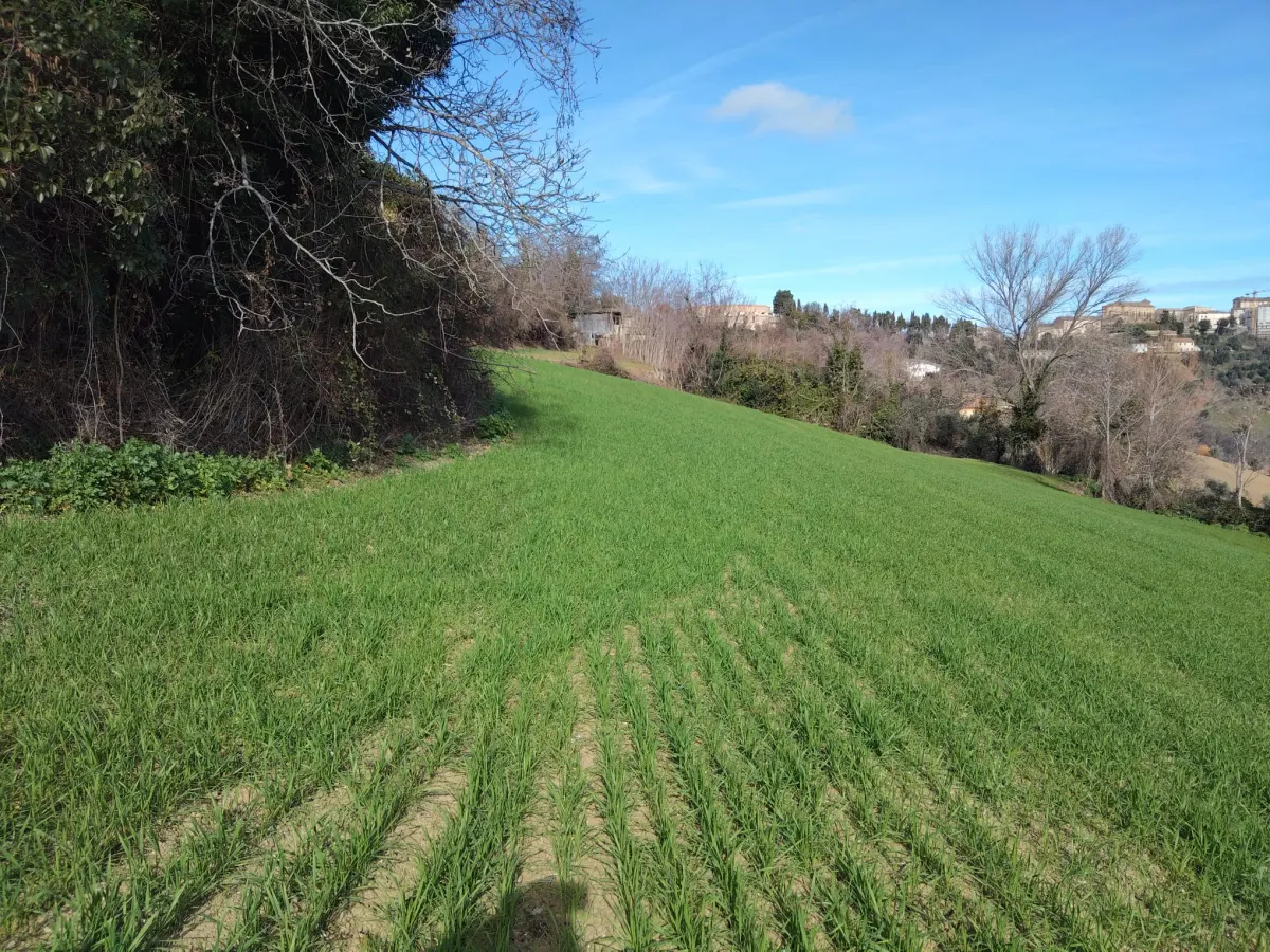 Casa Singola con  terreno agricolo · foto 14