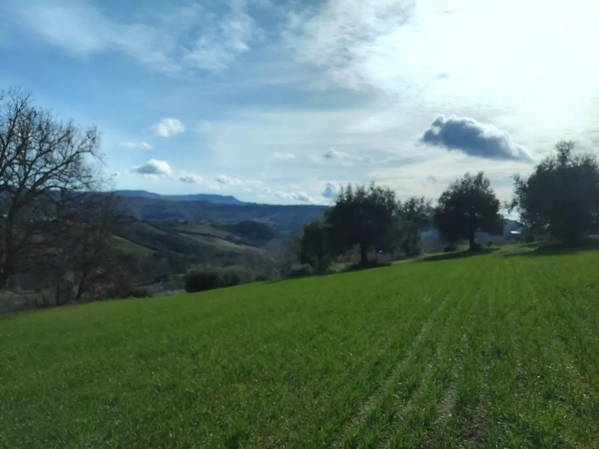 Casa Singola con  terreno agricolo · foto 15