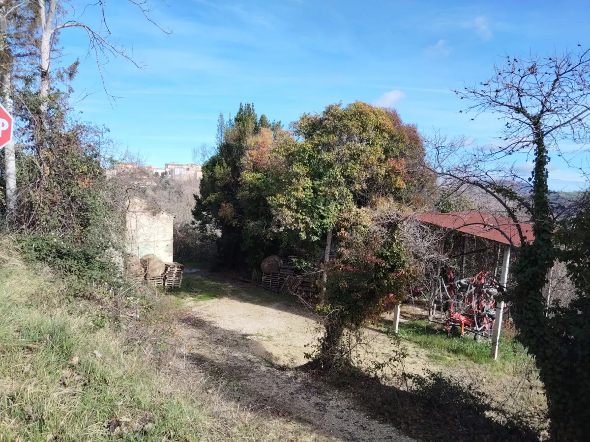 Casa Singola con  terreno agricolo · foto 18