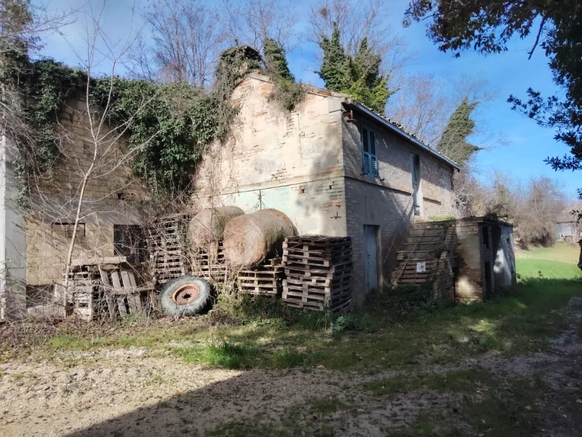 Casa Singola con  terreno agricolo · foto 19