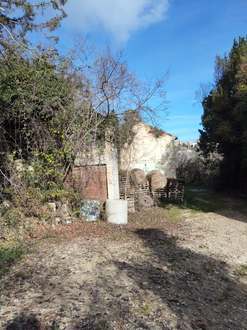 Casa Singola con terreno agricolo · foto 3