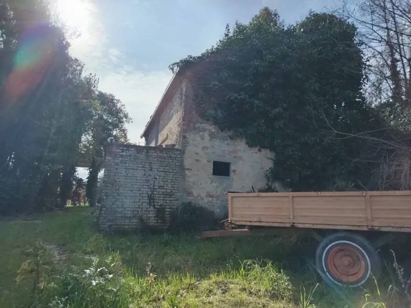 Casa Singola con terreno agricolo · foto 4