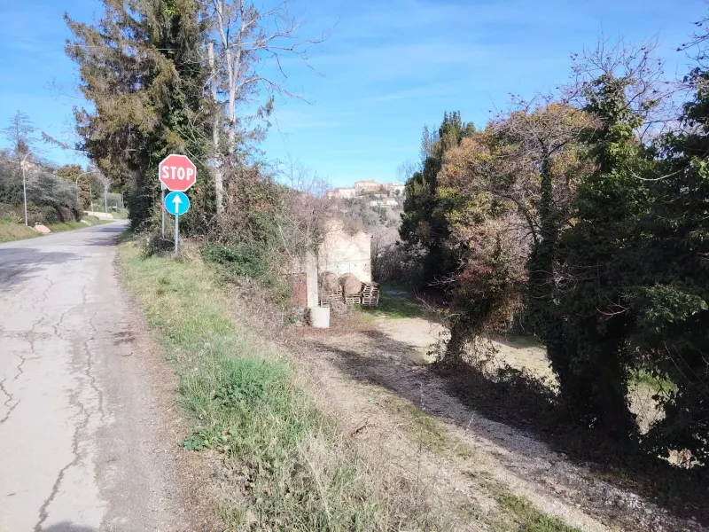 Casa Singola con terreno agricolo · foto 5