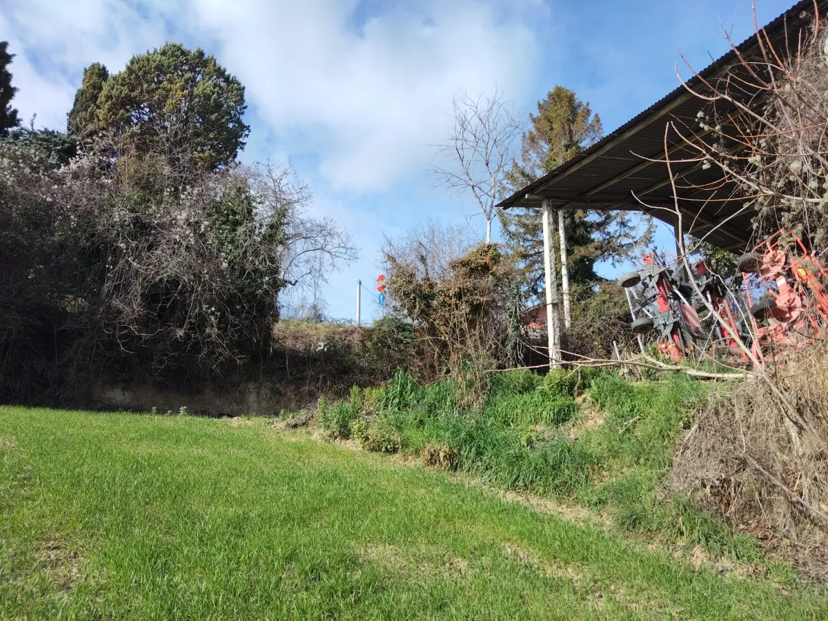Casa Singola con  terreno agricolo · foto 7