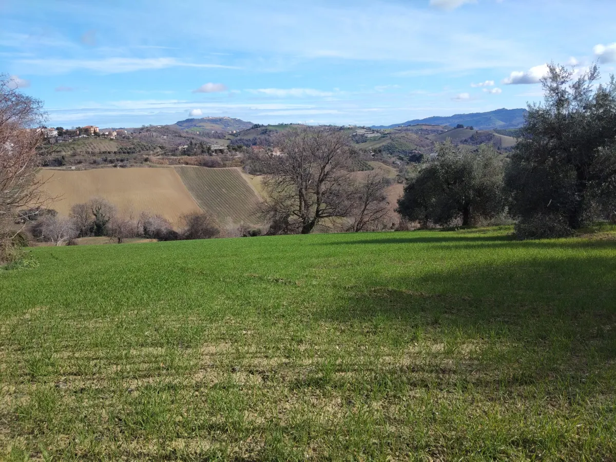 Casa Singola con  terreno agricolo · foto 8
