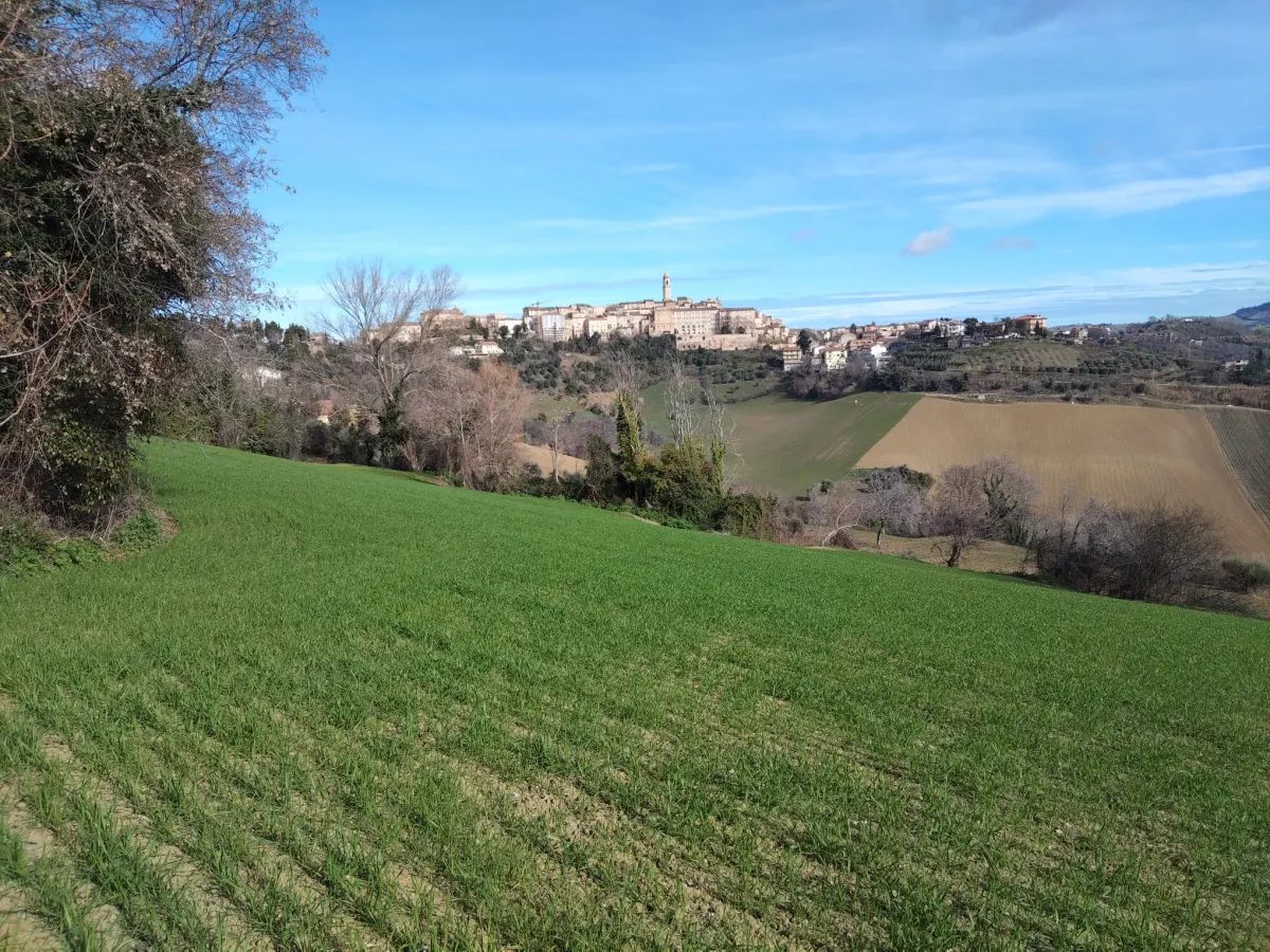 Casa Singola con  terreno agricolo · foto 10