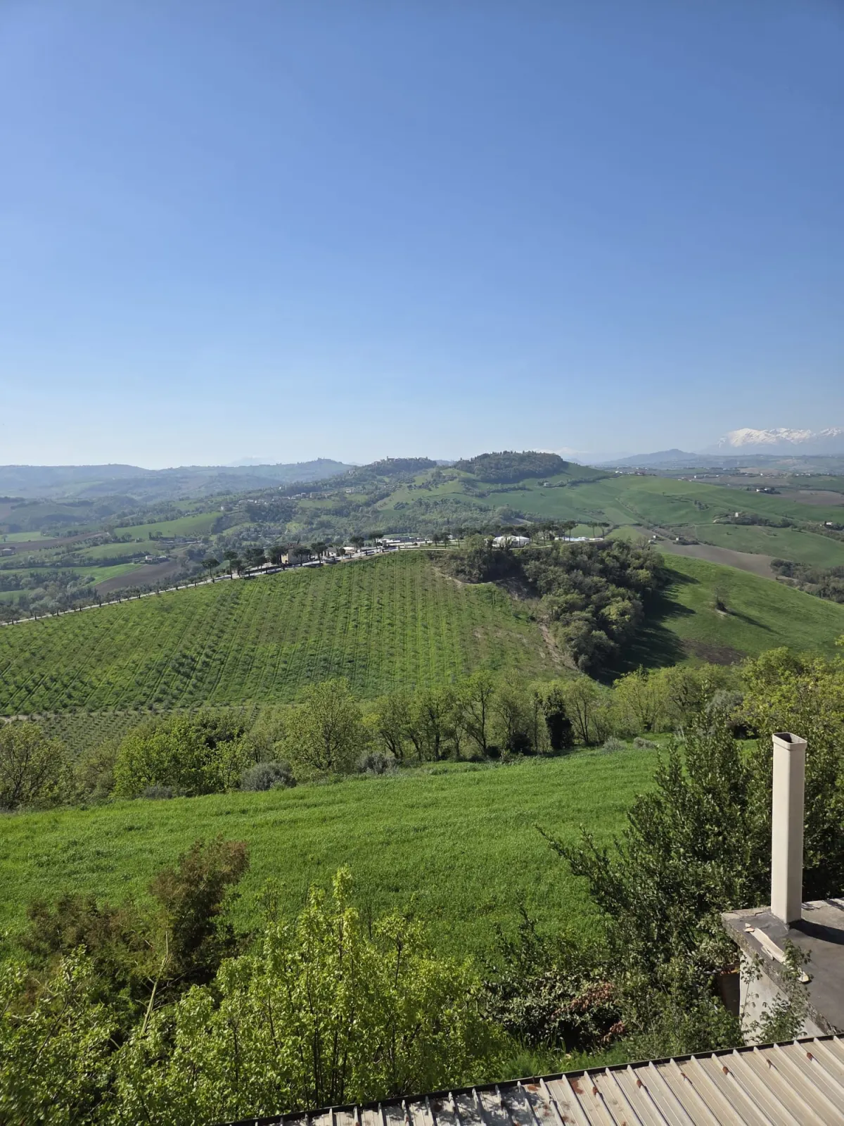 Abitazione indipendente di ampia metratura diviso 3 appartamenti con 3 garage e laboratorio di mq. 100 trasformabile in civile abitazione, corte e giardino.  Da ristrutturare Da ristrutturare · foto 11