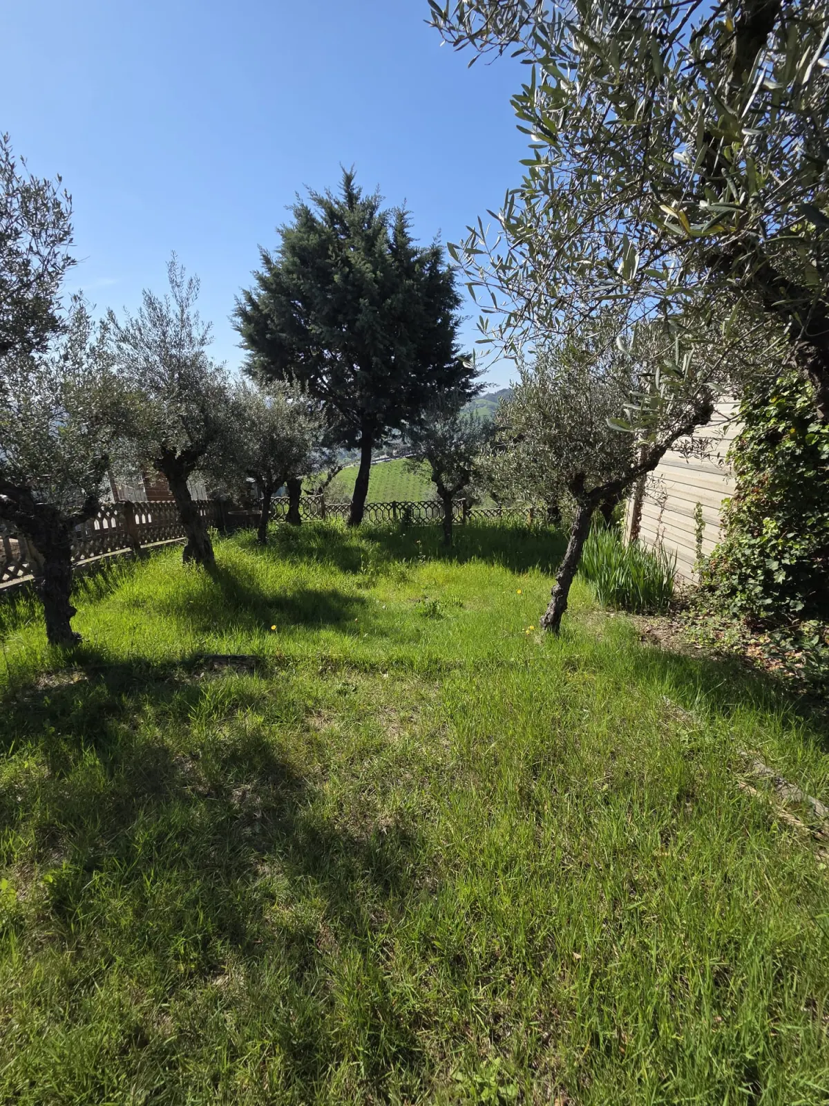 Abitazione indipendente di ampia metratura diviso 3 appartamenti con 3 garage e laboratorio di mq. 100 trasformabile in civile abitazione, corte e giardino.  Da ristrutturare Da ristrutturare · foto 7