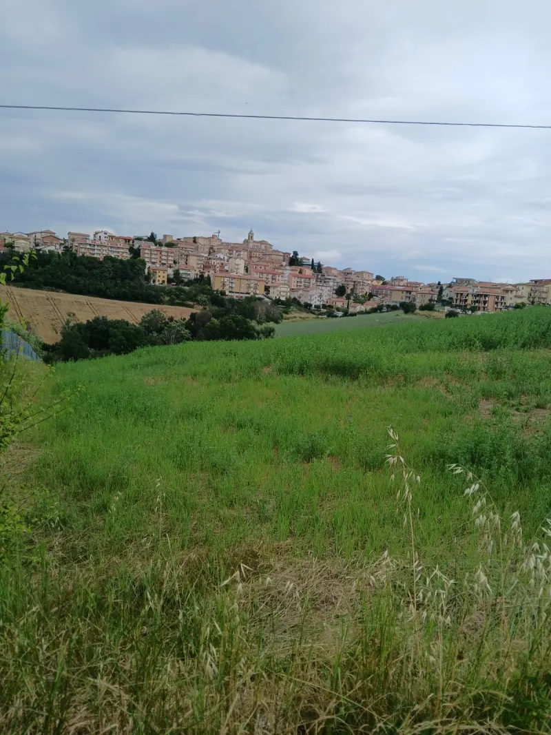 Cinque ettari di terreno agricolo · foto 5