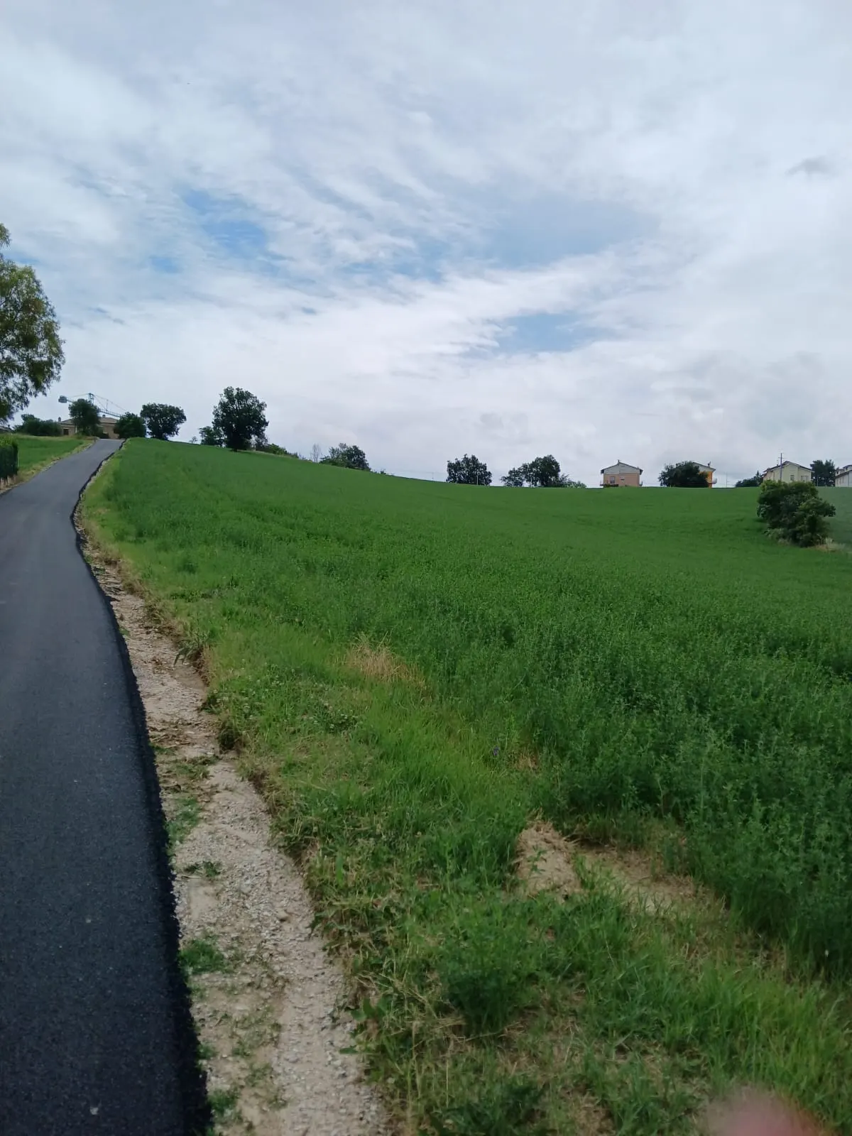 Cinque ettari di terreno agricolo · foto 9
