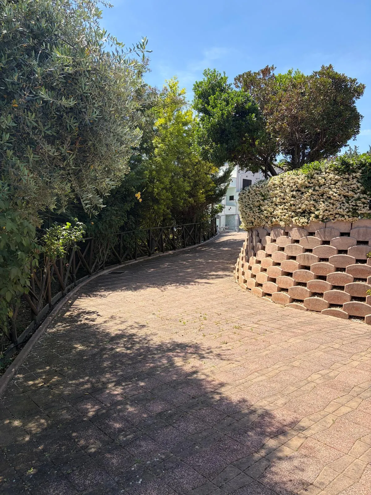 Casa Singola con giardino · foto 7