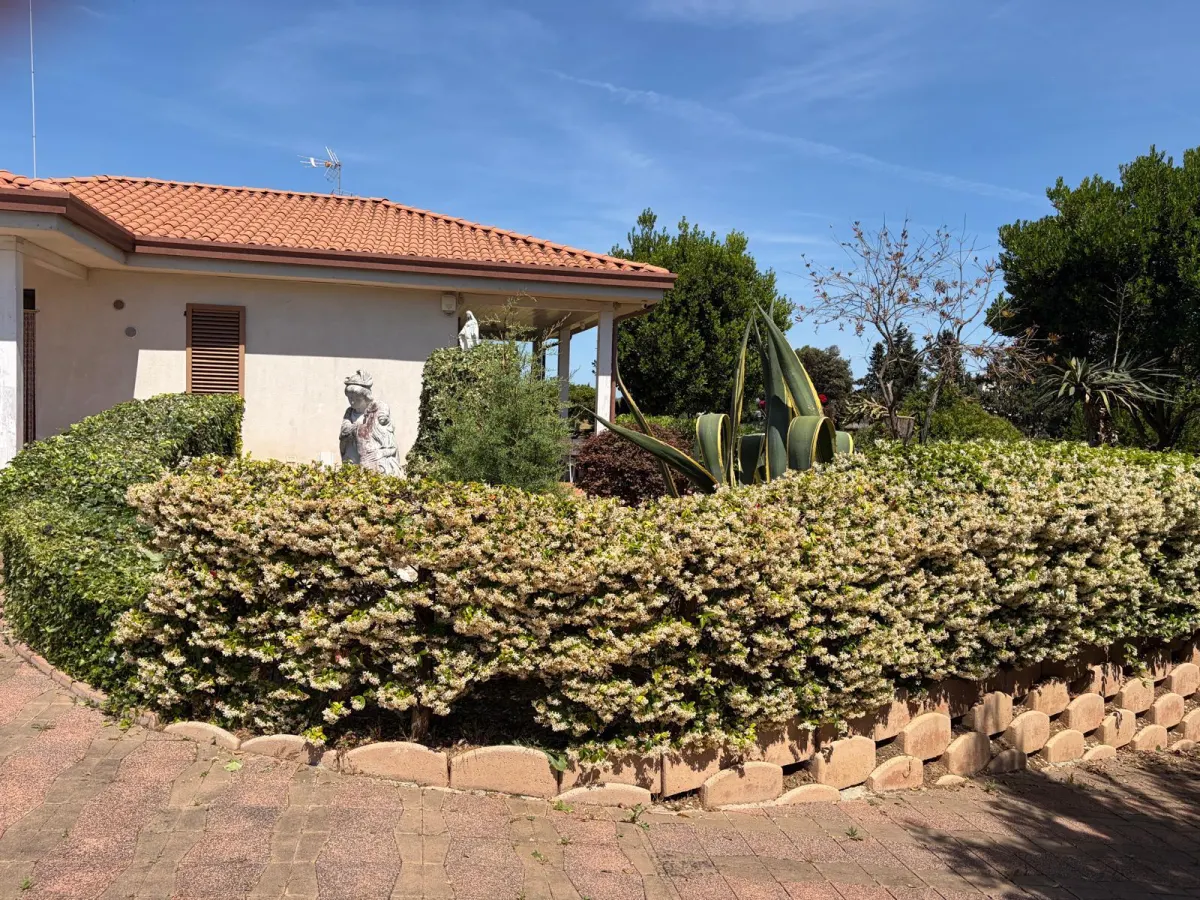 Casa Singola con giardino · foto 9
