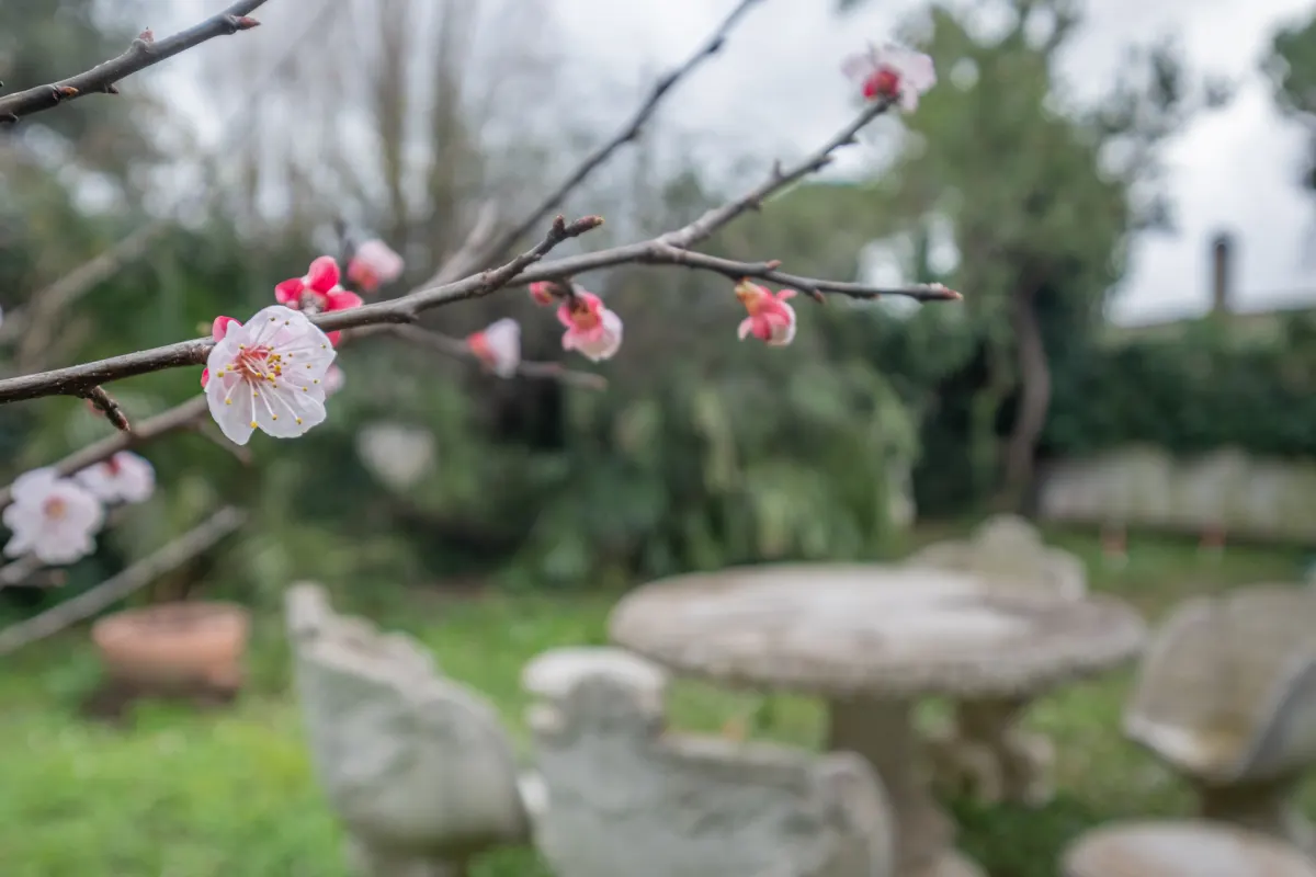 Casa con giardino · foto 15