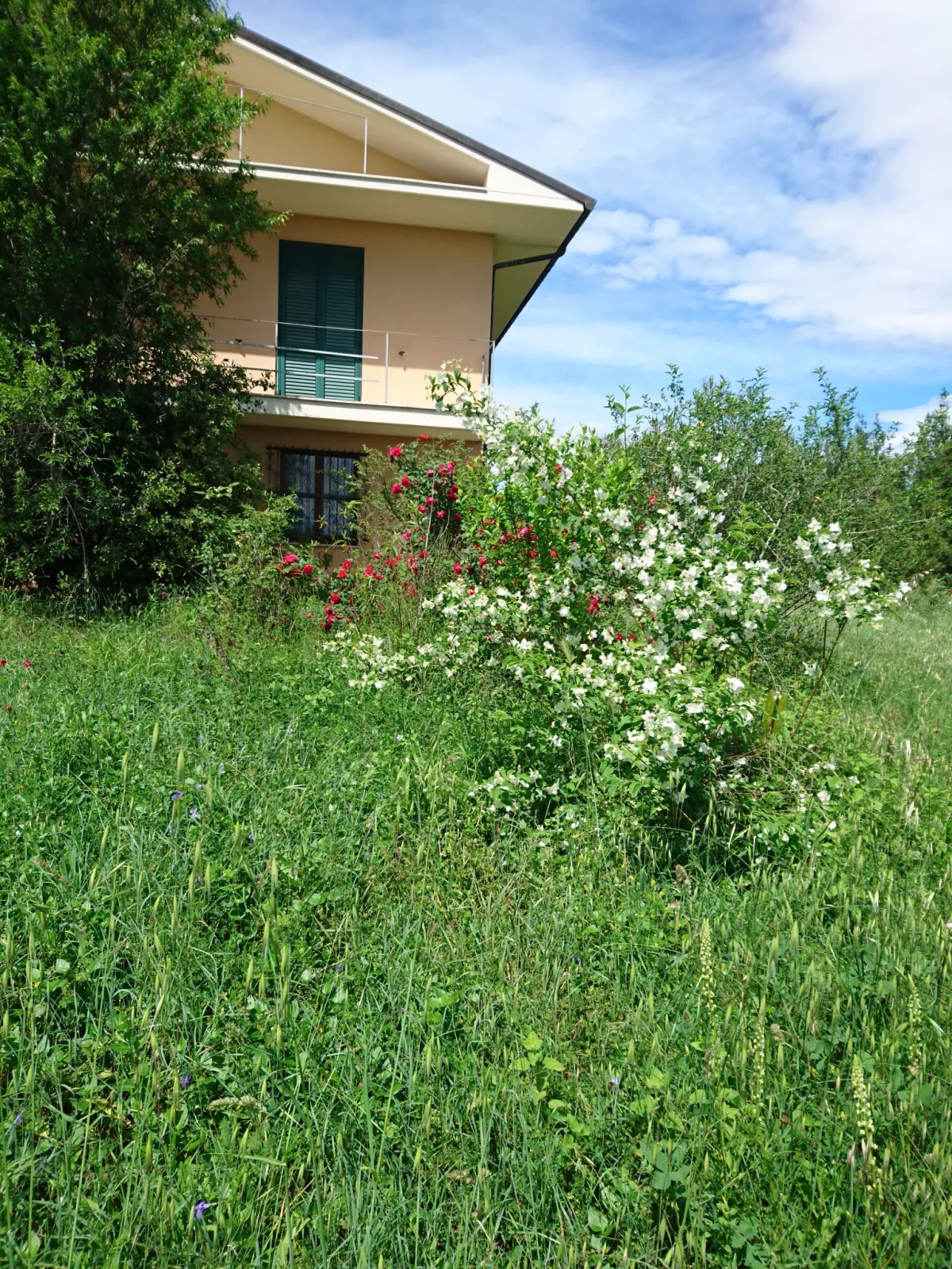 VILLA PANORAMICA CON AMPIO GIARDINO · foto 16