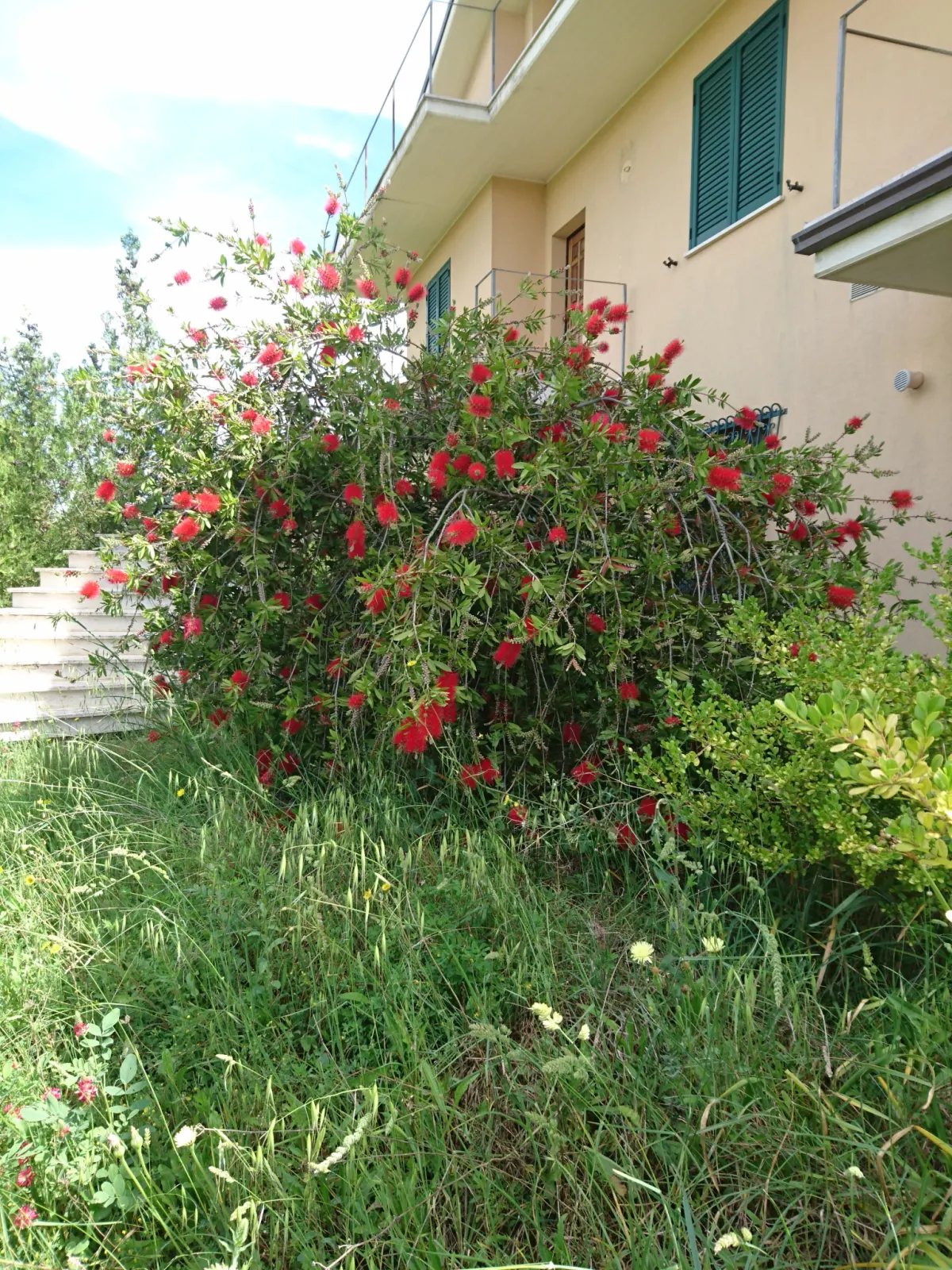 VILLA PANORAMICA CON AMPIO GIARDINO · foto 17