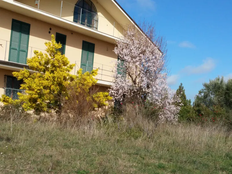VILLA PANORAMICA CON AMPIO GIARDINO · foto 3