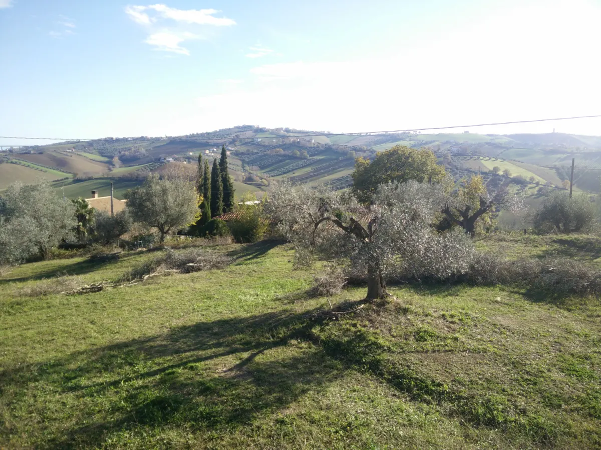VILLA PANORAMICA CON AMPIO GIARDINO · foto 26