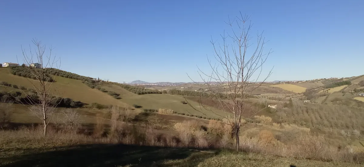 VILLA PANORAMICA CON AMPIO GIARDINO · foto 27