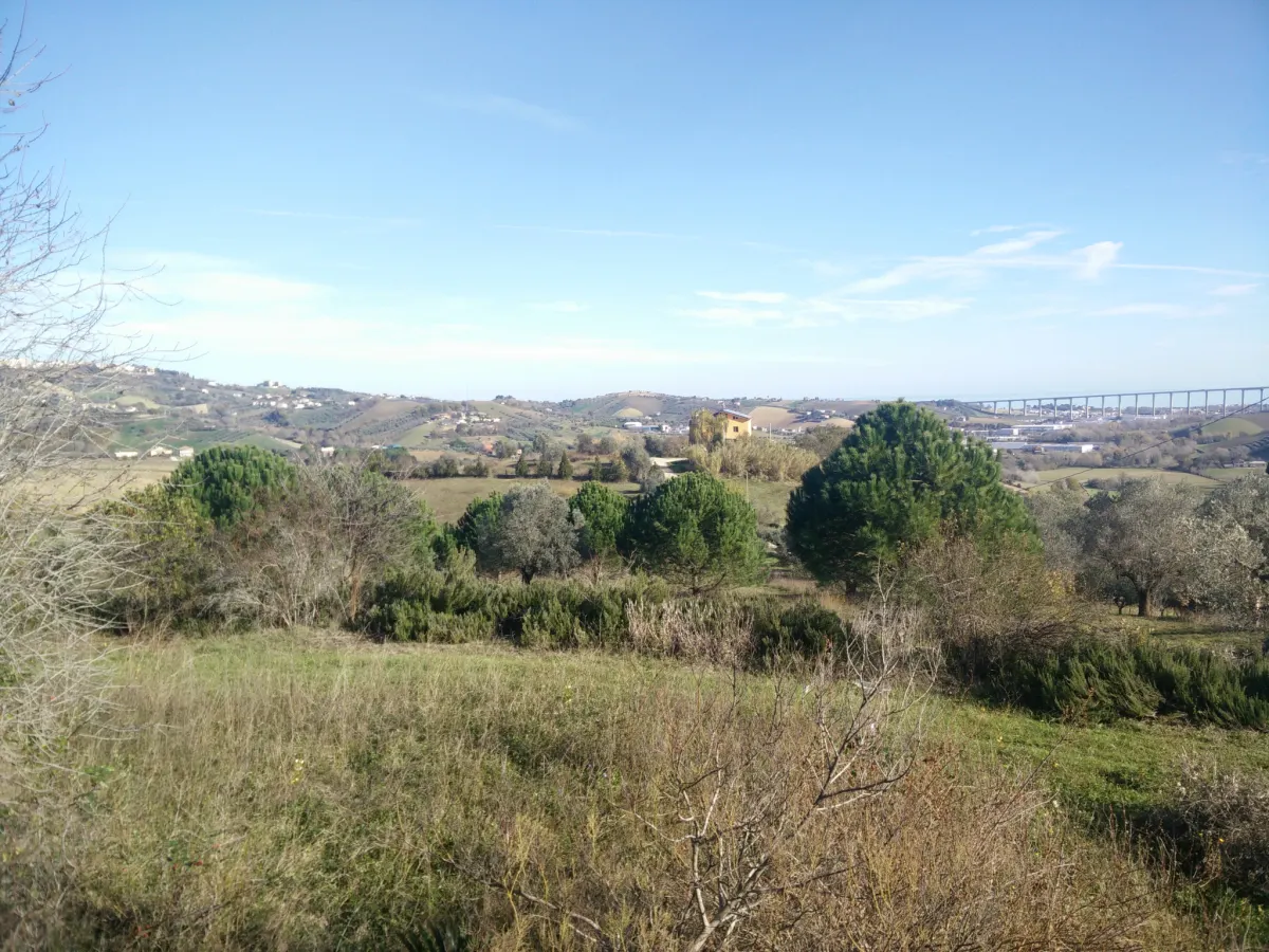 VILLA PANORAMICA CON AMPIO GIARDINO · foto 29