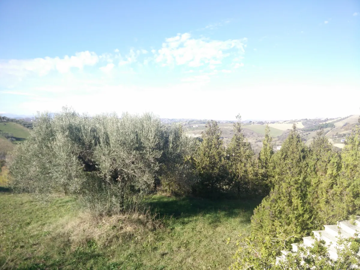 VILLA PANORAMICA CON AMPIO GIARDINO · foto 30