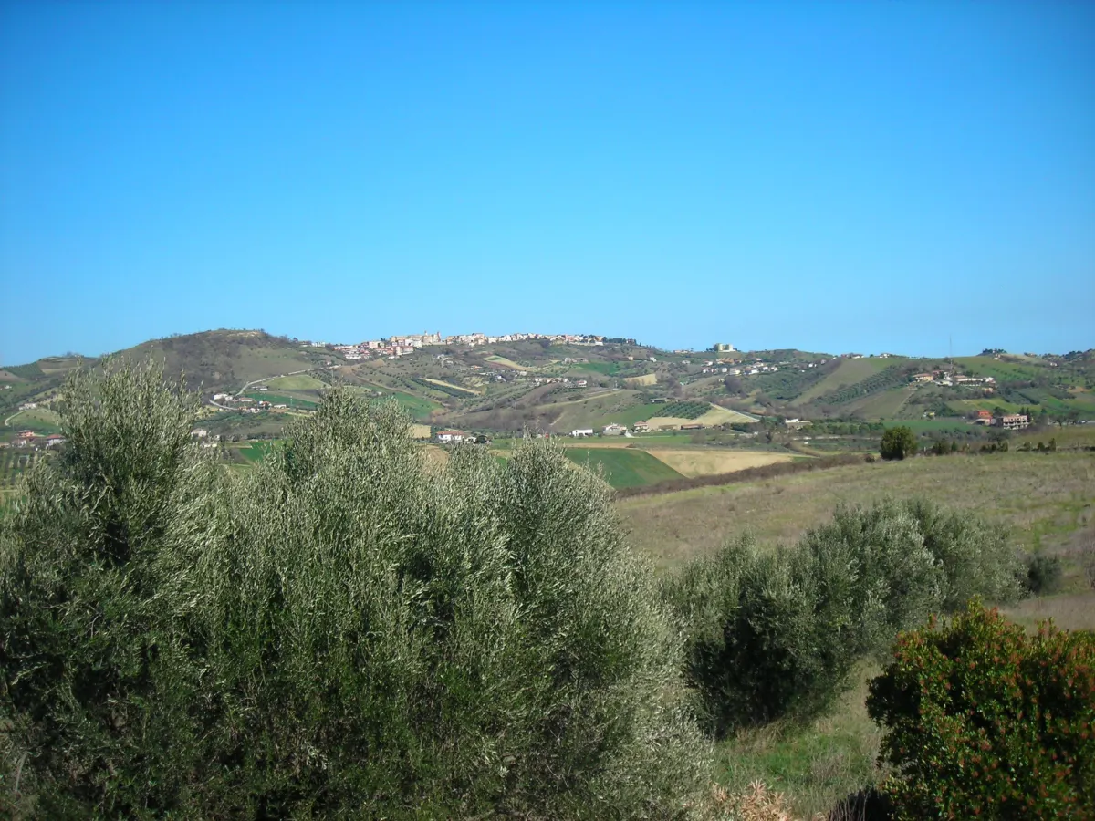 VILLA PANORAMICA CON AMPIO GIARDINO · foto 32