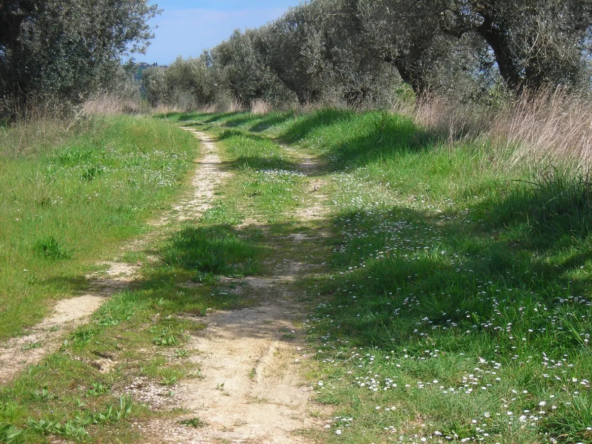 VILLA PANORAMICA CON AMPIO GIARDINO · foto 33