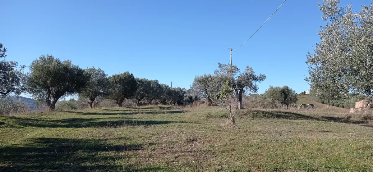 VILLA PANORAMICA CON AMPIO GIARDINO · foto 34