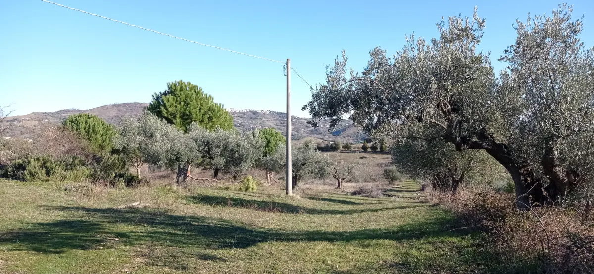 VILLA PANORAMICA CON AMPIO GIARDINO · foto 35
