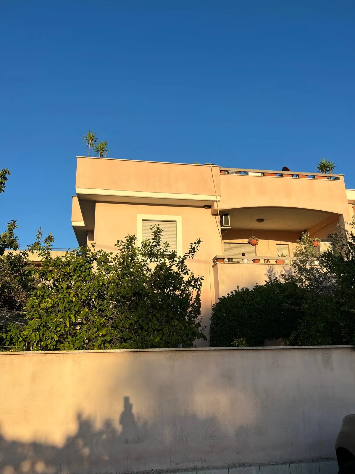 Anzio vendiamo appartamento con terrazzo e posto auto · foto 1