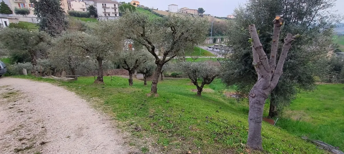 Abitazione singola composta da 4 unità con terreno · foto 16