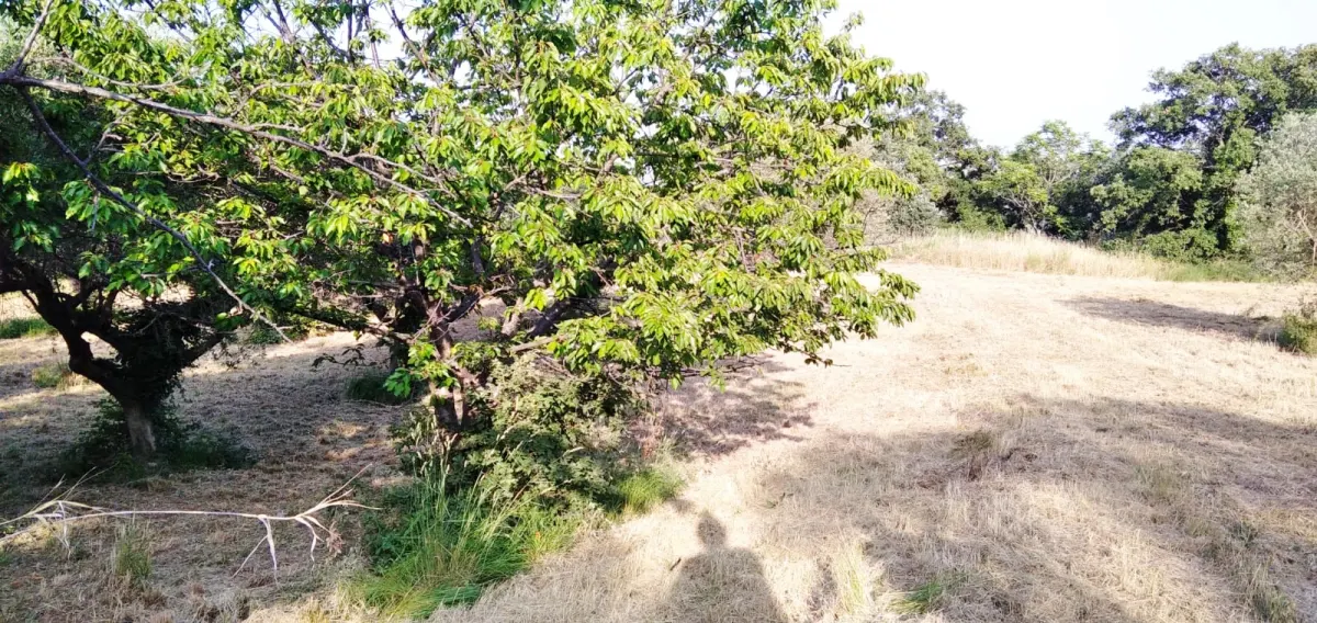 Country house with garden  in Casalbordino, Abruzzo region · foto 12