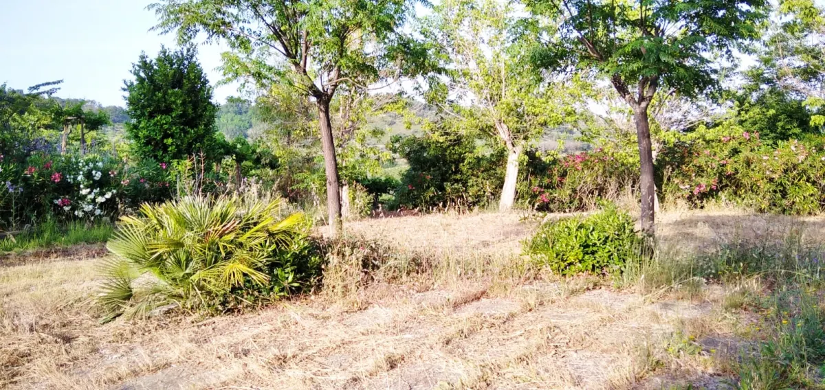 Country house with garden  in Casalbordino, Abruzzo region · foto 14